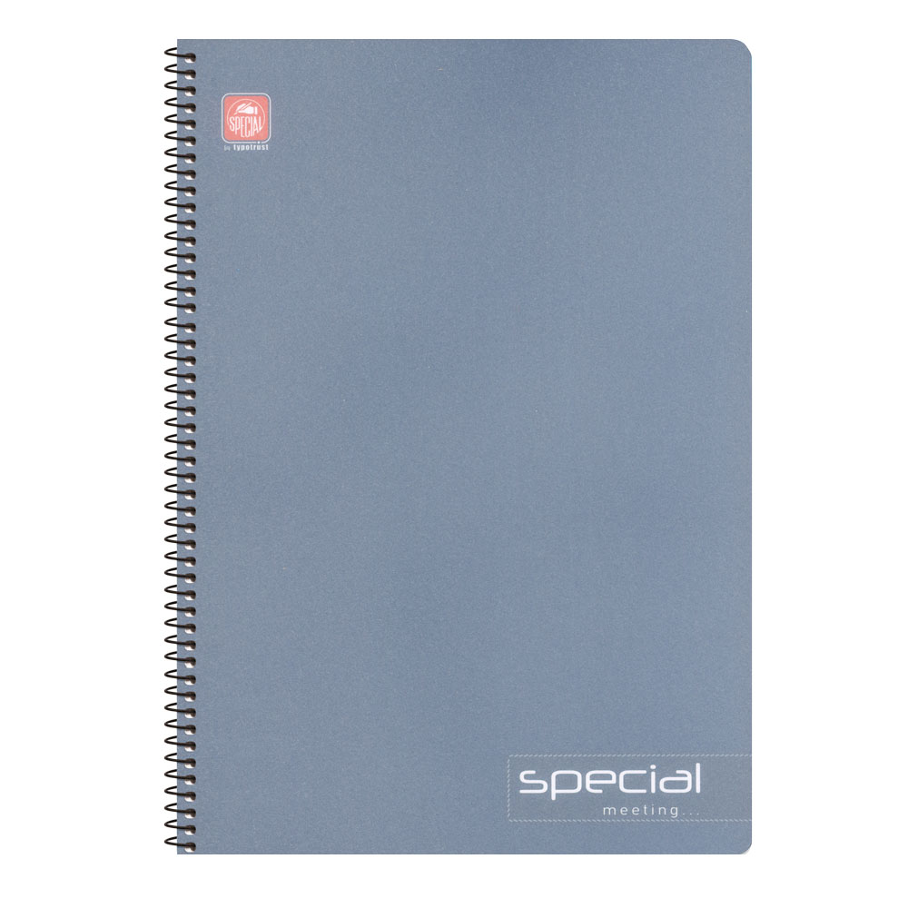 4512α_4513α_SPECIAL_MEETING_BLUE