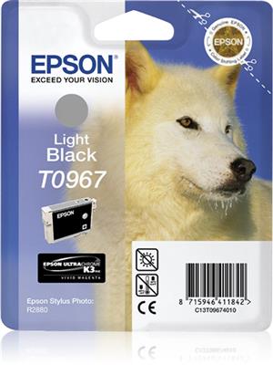 EPST096740_1